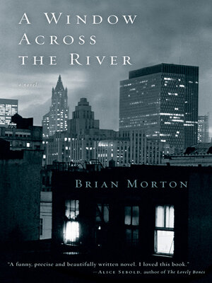 cover image of A Window Across the River